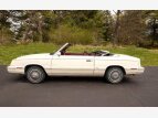 Thumbnail Photo 4 for 1983 Chrysler LeBaron Convertible